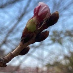 KARKARの「とりあえず走っとく？」