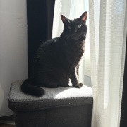 毎日スミちゃんの視線を感じてる