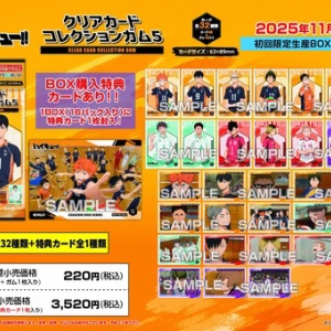 劇場版 ハイキュー!! クリアカード2種 ステッカー 18種類  下敷き セット ハイキュー!! トレーディング クリアステッカーセット BOX