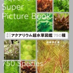 アクアプラザ都屋