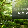 ジブリの世界観が楽しめる！世界自然遺産の島『屋久島』