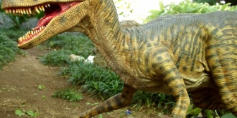 理系で物知りな彼氏と恐竜の展示を見てたら彼が「このハイエナぽいやつヴェロキラ、プトルって言うんだー」→ サァッと冷めて別れた