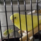 カキカキできない方