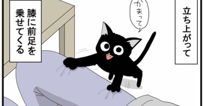 賢さに気付くと愛しさ倍増する