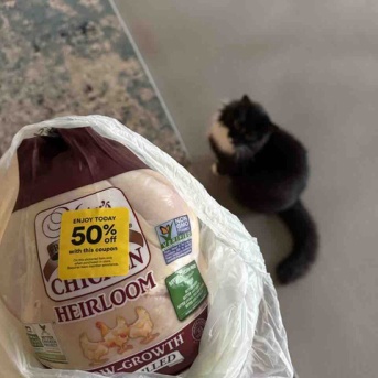 【ダイエットご飯日記】丸鶏と猫・おやつあれこれ【1600kcal】