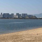 淀川大好きのウイングばか一代