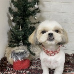 tamariのたまりば