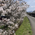 25日目　2025年3月29日（土）曇りのち晴れ