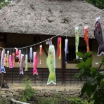 ふらっと　つれづれ帳（旧　ふらっと山へ）