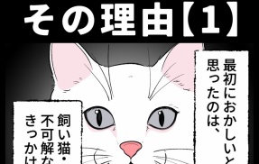 身近で起こった怖〜い話【猫が怯えるその理由・１】