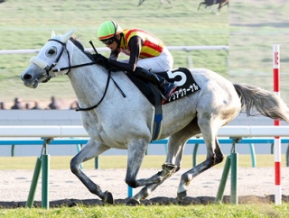【競馬予想】[4]第173回天皇賞(春)(GⅠ) 2026