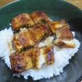 うな丼（天然モノ）