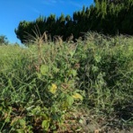 曽田博久のblog