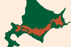 札幌と釧路約300kmが高速道路でつながる　片道4時間12分