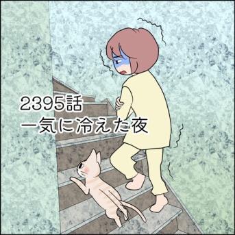 あんこ＆麦2395 一気に冷えた夜