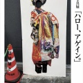 2026年5月後半の展示
