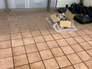 金立サービスエリアのツバメ