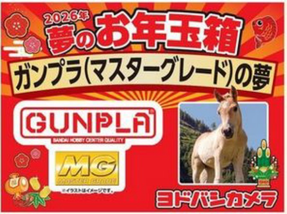 2026年ヨドバシのガンプラ福袋の倍率が限界突破！「MG25000円」「HG15000円」の中身はなんだ？