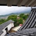 彦根城