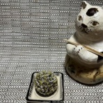 多分世界で最初のとんかつ評論家　元木一朗のブログ