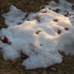 しがない庶民の独り言