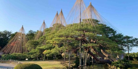 金沢デイズ 石川県金沢市の地域情報サイト 年12月