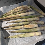 【旬の山菜】山の朝の味！＆どんどん数が増えて気付けば人の輪がゆっくり広がる！