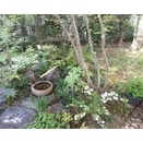 グラシン紙値上がり