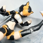 銀竜うんちブログ