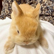 モーニングルーティン。【#ボコとデコ #PR #腸活 #ゆる腸活 】