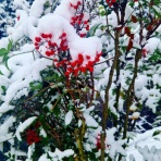 ドイツでホッと一息・・・