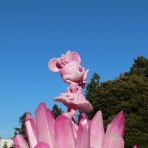 chakkoのTDRに行ったよ！