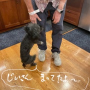 長期戦の始まり