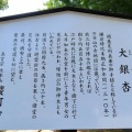 2026天然記念物大銀杏でアオバズクを撮る4🦉📸（足利市鑁阿寺）