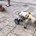 ほっぺが・・・