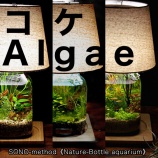 『コケ “Algae” ～Nature-ボトルアクアリウム～』の画像