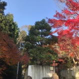 『書写山にハイキング』の画像