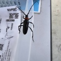 現在の状況260709