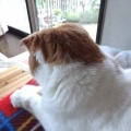 奈良は今日も雨
