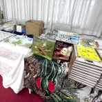 ありんこ日記　AntRoom