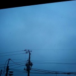『雪やこんこん(;_;)』の画像