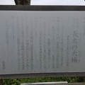 長太の大楠(なごのおおくす)