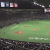 今日の札幌ドーム観衆13,994人