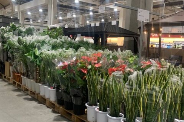 コストコで買わなかったけど気になったものたち アラフォーお母さんのごきげんな日々