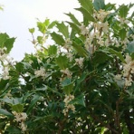 輝かしい未来へ出発！！