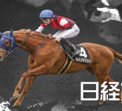 日経賞(G2)【掟破りの金になる話】