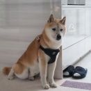 8月突入かぁ！