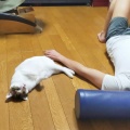そんな怒らんでもな…