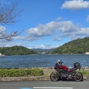 天下分け目のトレミ②　(*ΦωΦ*)にゃー