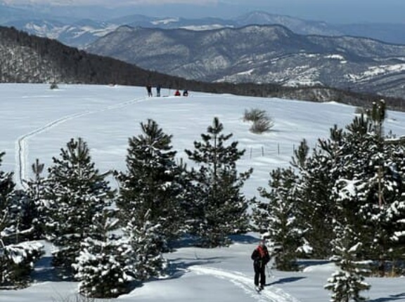 ULストレッチウインドジャケット買った！半袖アミアミと長袖メリノウールを下に着る これで初日の出登山いってくるわ